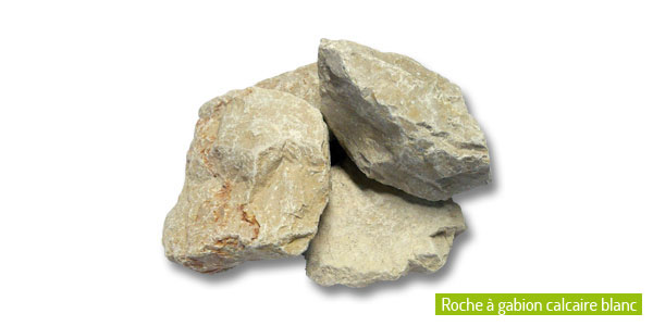 Roches pour Stone Box